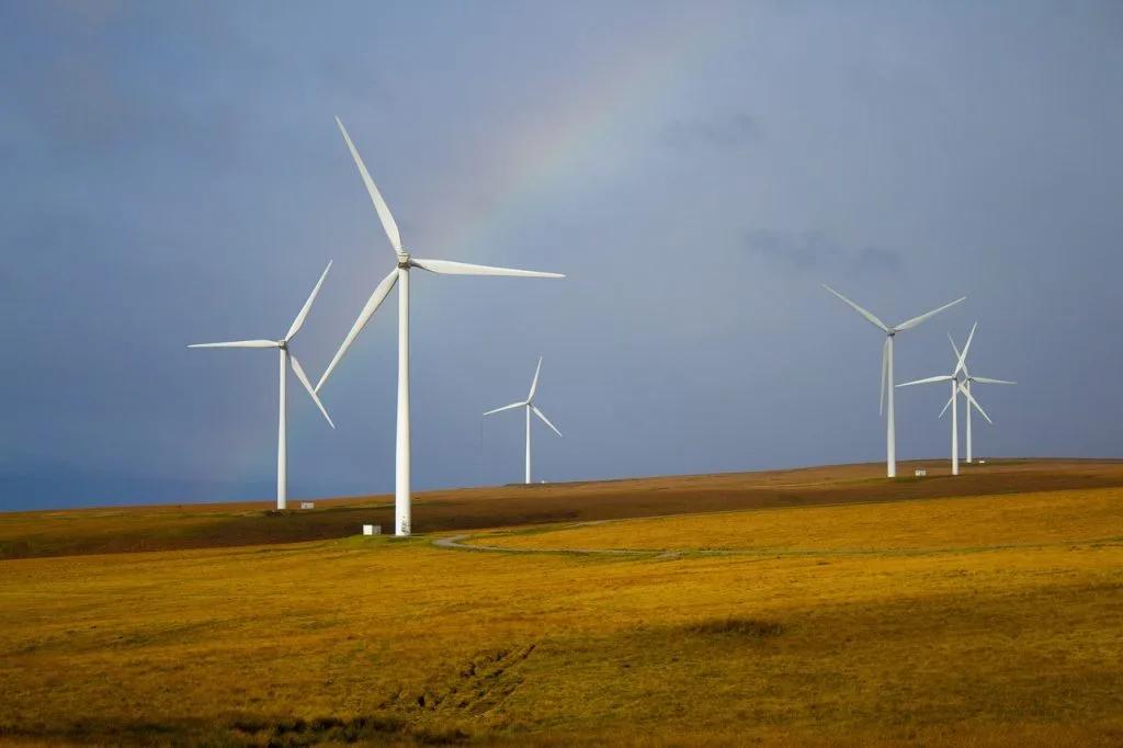 éoliennes dans un champ