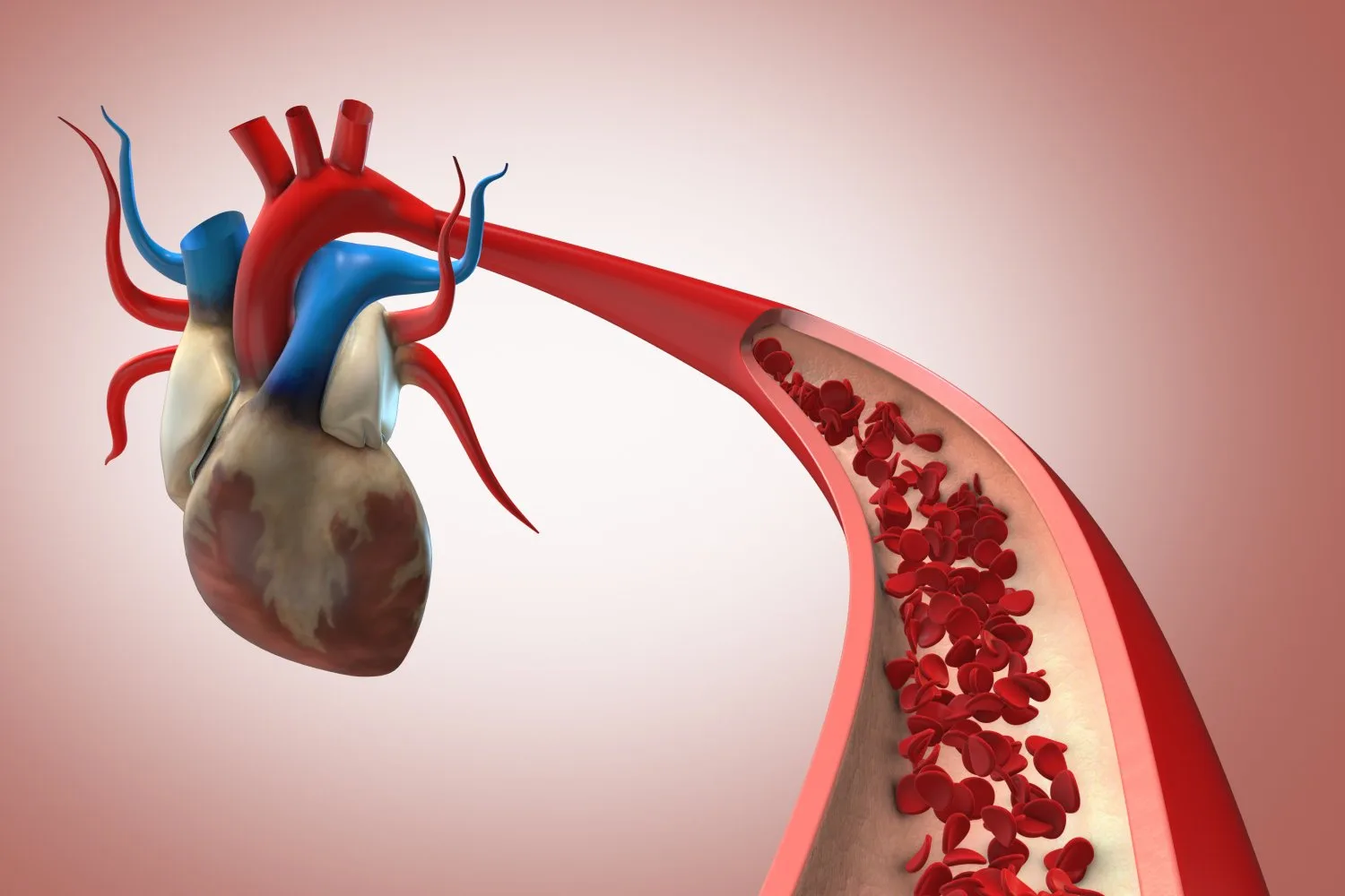 Une nouvelle méthode permet des estimations rapides et précises de l'état cardiovasculaire pour éclairer la gestion de la pression artérielle |  Actualités du MIT