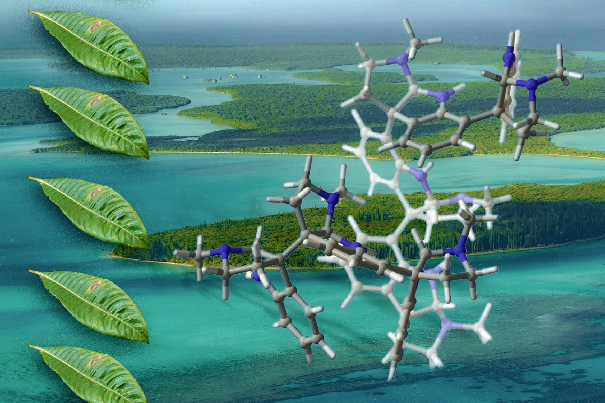 Les chimistes du MIT synthétisent des molécules d'origine végétale qui ont un potentiel pharmaceutique | Actualités du MIT